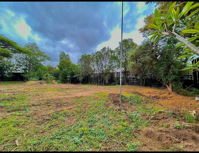 LAND FOR SALE IN WITKOPPEN